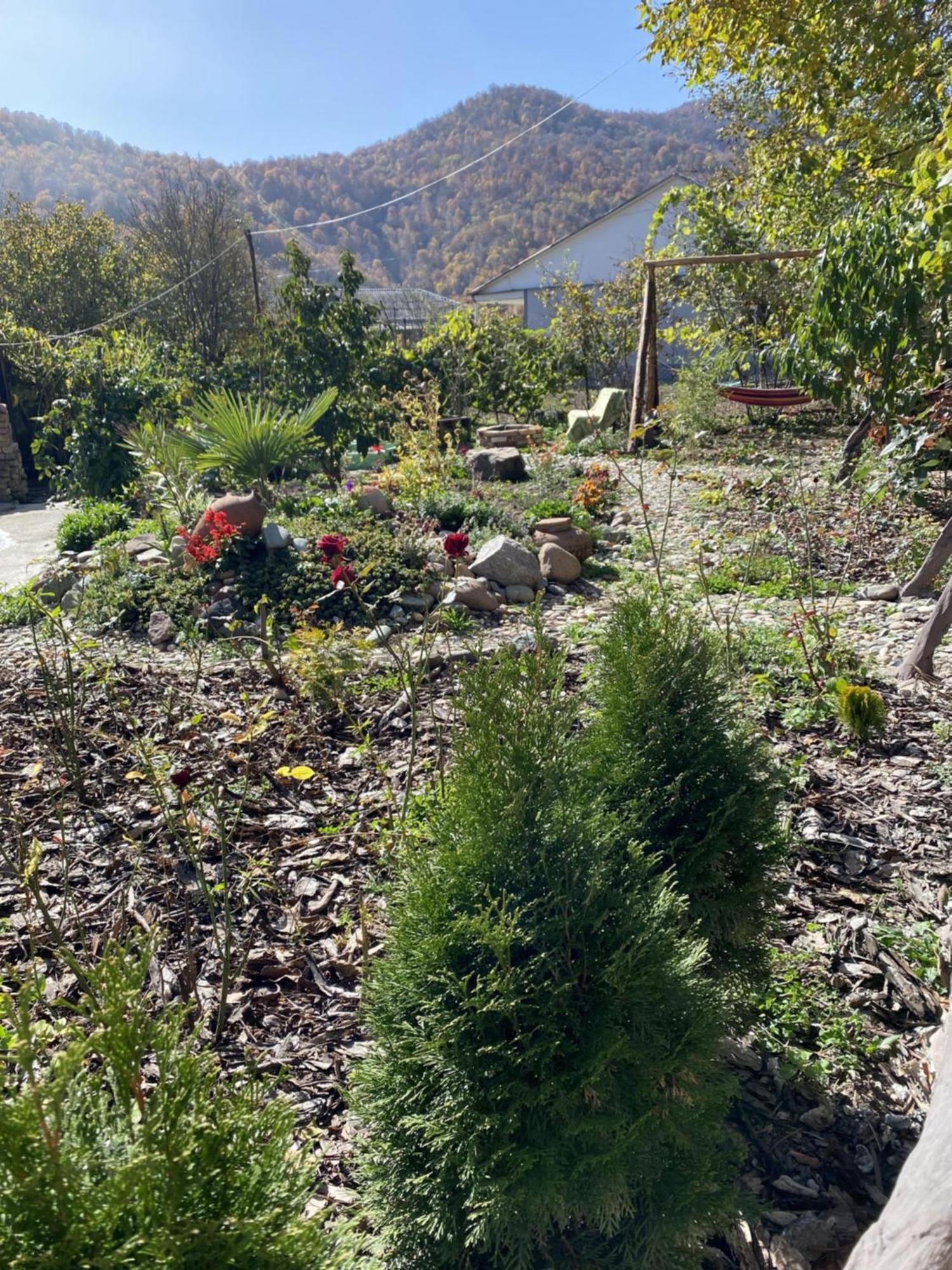Green Park Guest House Dilijan Esterno foto