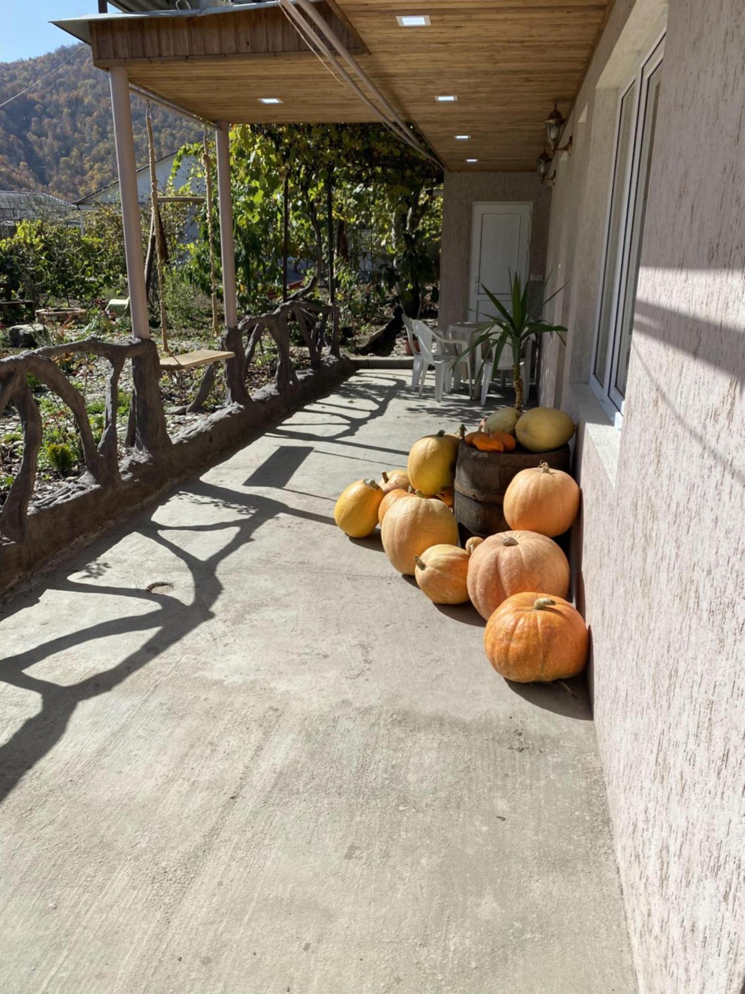 Green Park Guest House Dilijan Esterno foto