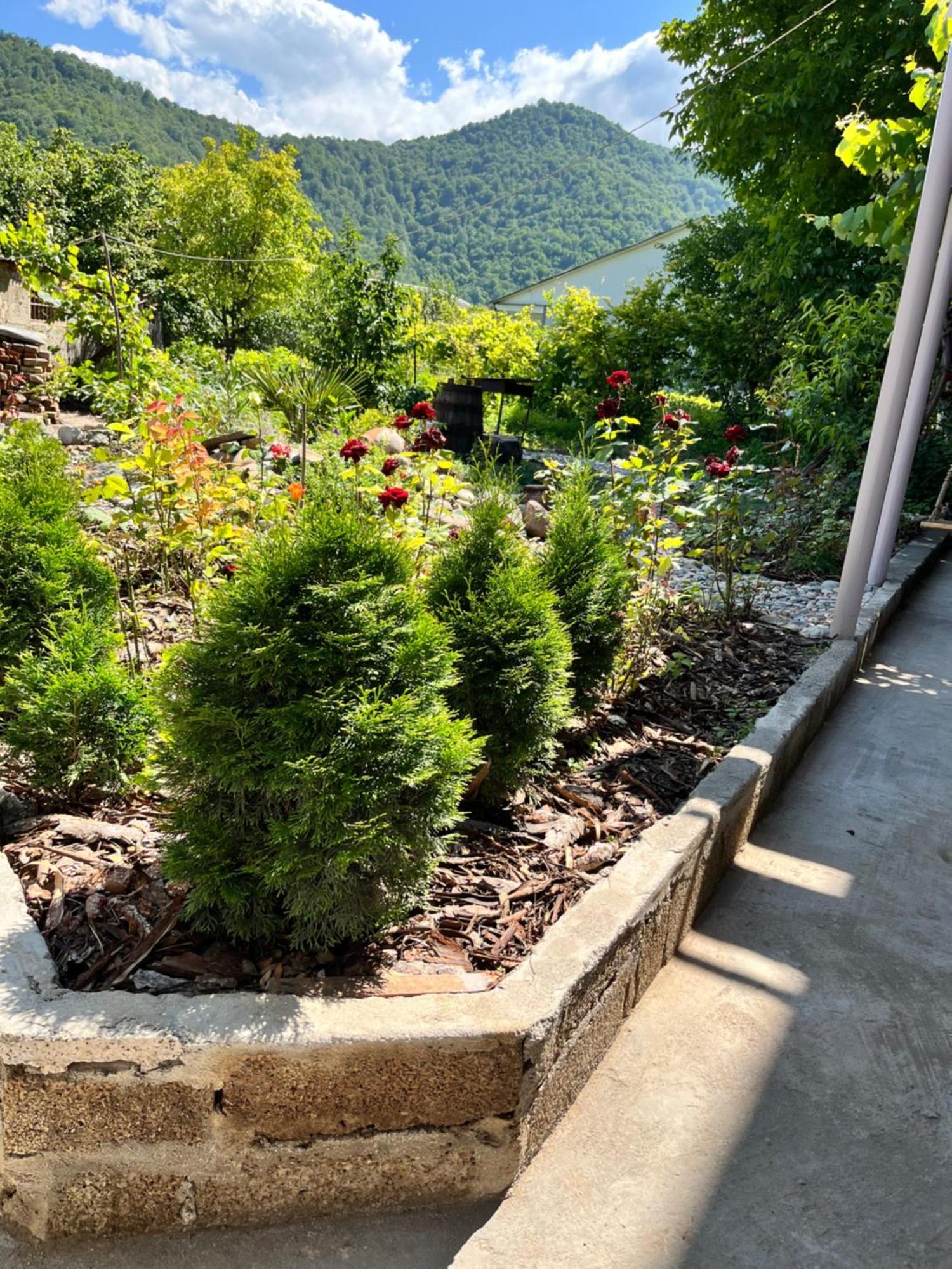 Green Park Guest House Dilijan Esterno foto